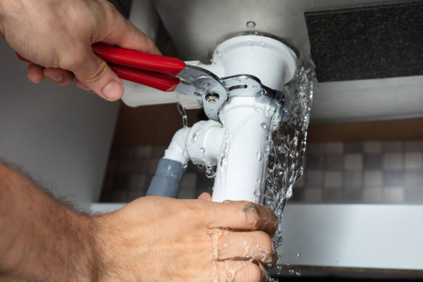 Best Water damage cleanup near me  in Roundup, MT