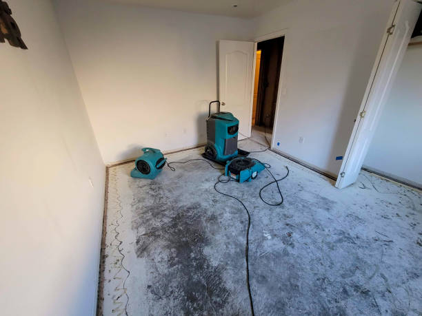 Best Carpet water damage restoration  in Roundup, MT