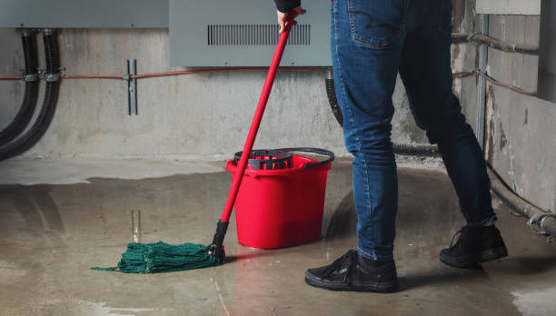 Best Sewage cleanup and water damage restoration  in Roundup, MT
