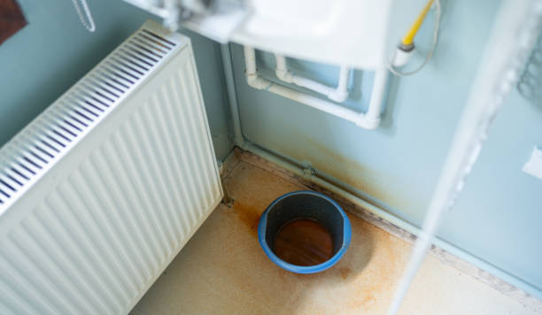 Best Carpet water damage restoration  in Roundup, MT